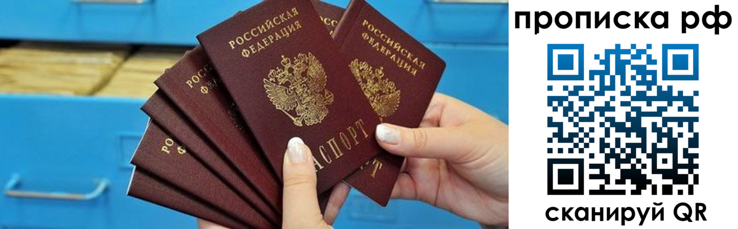 прописка поиск в Новоалександровске